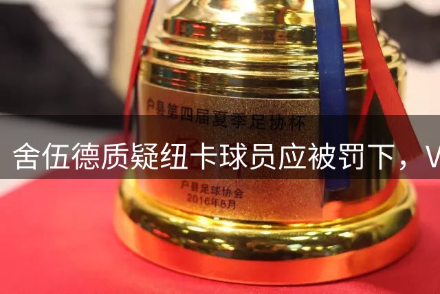 舍伍德质疑纽卡球员应被罚下，VAR判罚引发争议